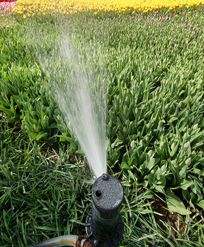 Otomatik Sulama Sistemi