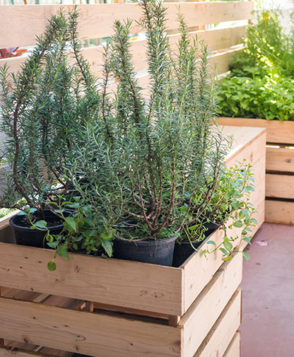 Ahşap Tarım Alanı